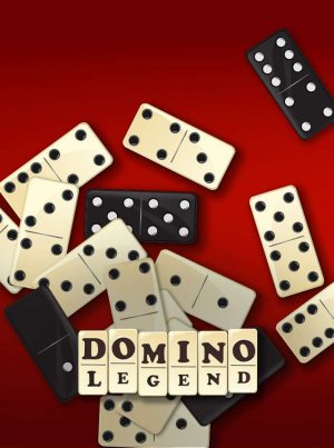 Domino Match Puzzle