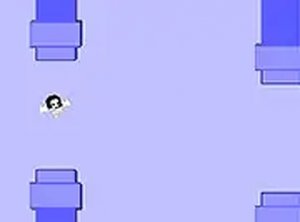 Fall Flappy Guys Online Game