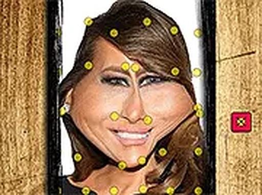 Melania Hat Antistress Online Fun Game